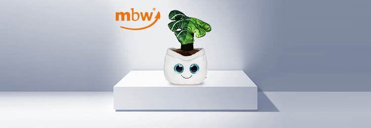 MBW